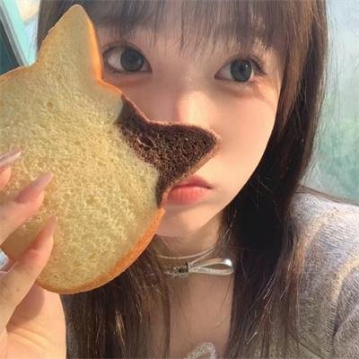 公猫